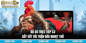 Đá Gà Trực Tiếp C3 Gây Sốt Với Các Trận Đấu Nghẹt Thở
