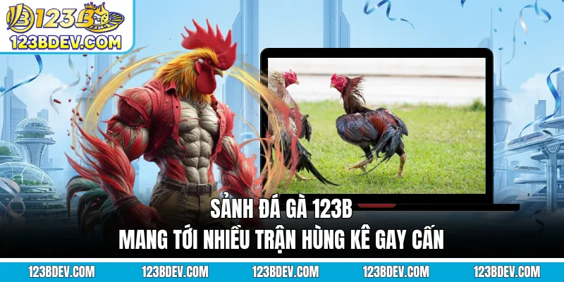 Sảnh đá gà 123B mang tới nhiều trận hùng kê gay cấn